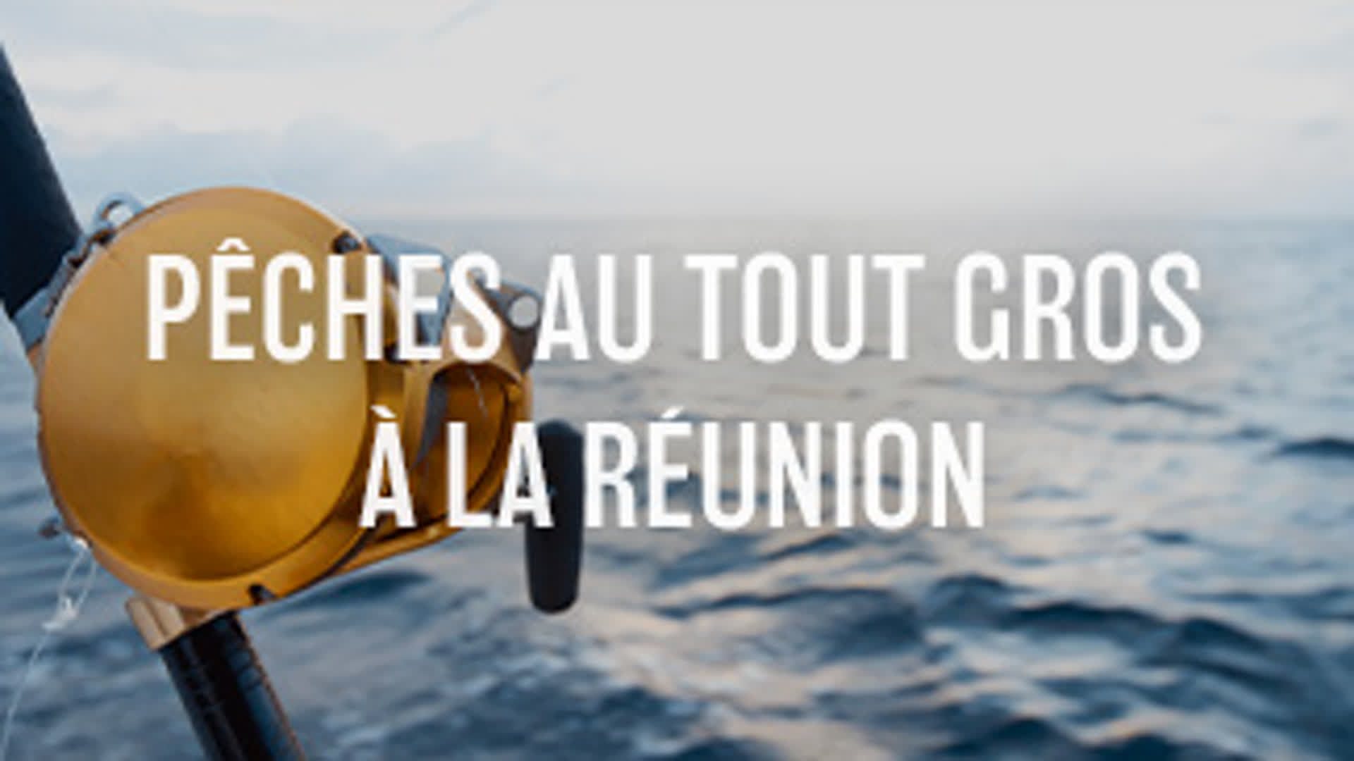 Pêches au tout gros à la Réunion