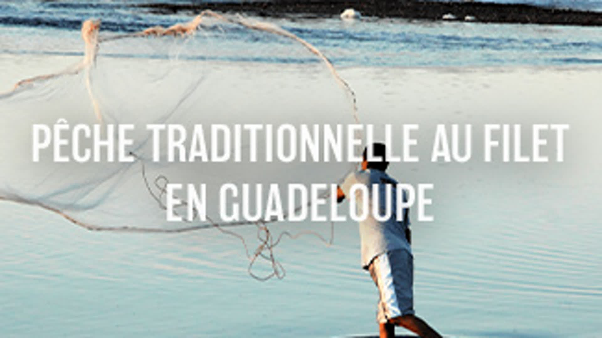 Pêche traditionnelle au filet en Guadeloupe