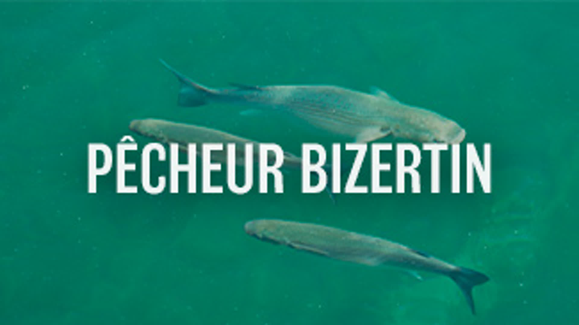 Pêcheur Bizertin