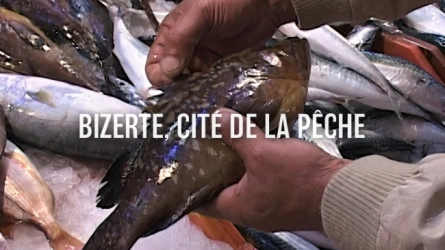 Bizerte, cité de la pêche