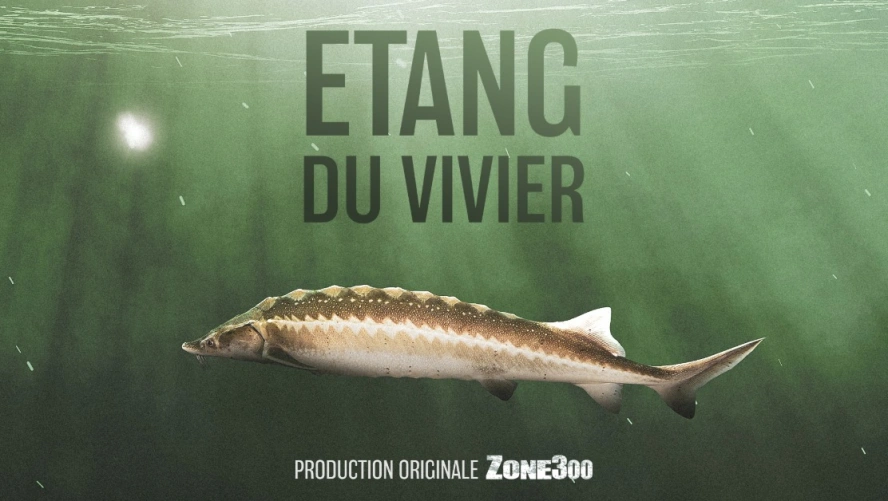 Étang du Vivier