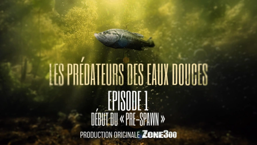 Les prédateurs des eaux douces : Début du "pré-spawn" (épisode 1)