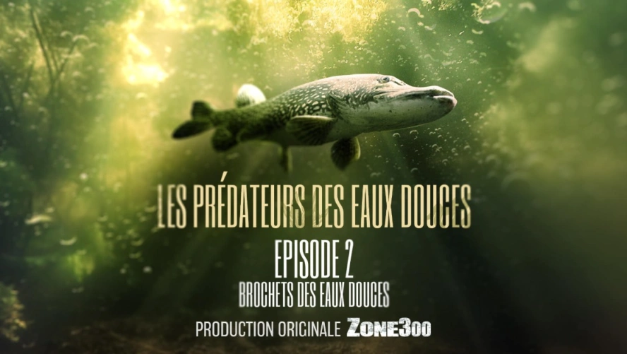 Les prédateurs des eaux douces : Brochet des eaux bleues (épisode 2)