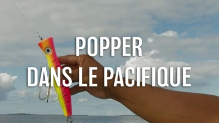 Popper dans le Pacifique
