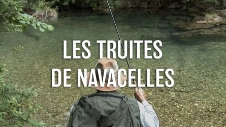 Les Truites de Navacelles
