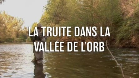 La Truite dans la Vallée de l’Orb