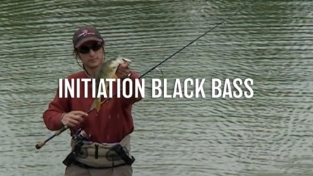 Initiation Black Bass