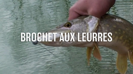 Brochet aux Leurres