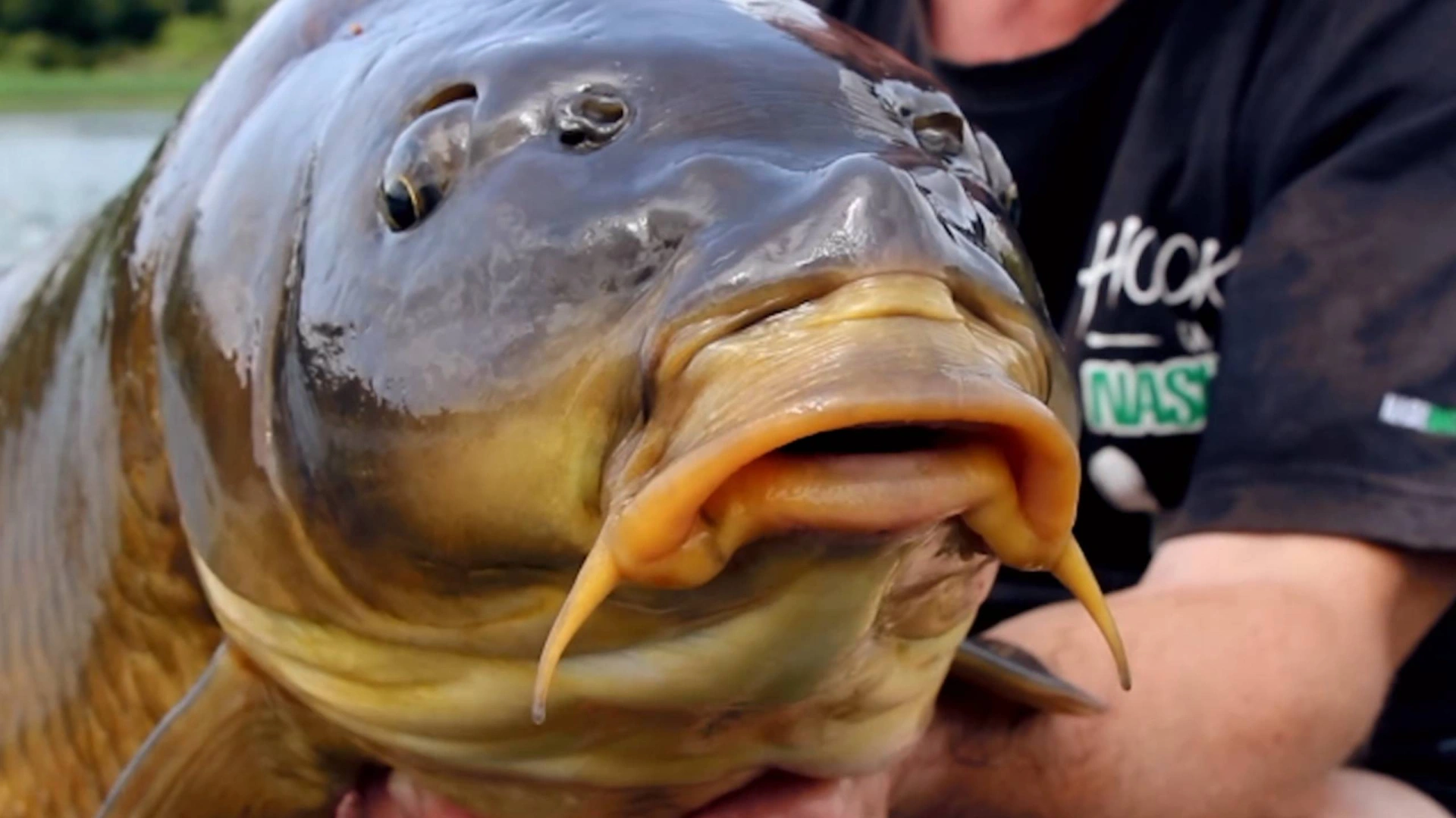 Lac de la Forêt d'Orient - Destination H2O