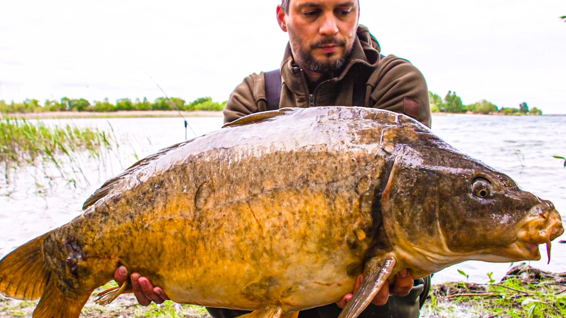 À la Redécouverte du Lac de Der  - Destination H2O