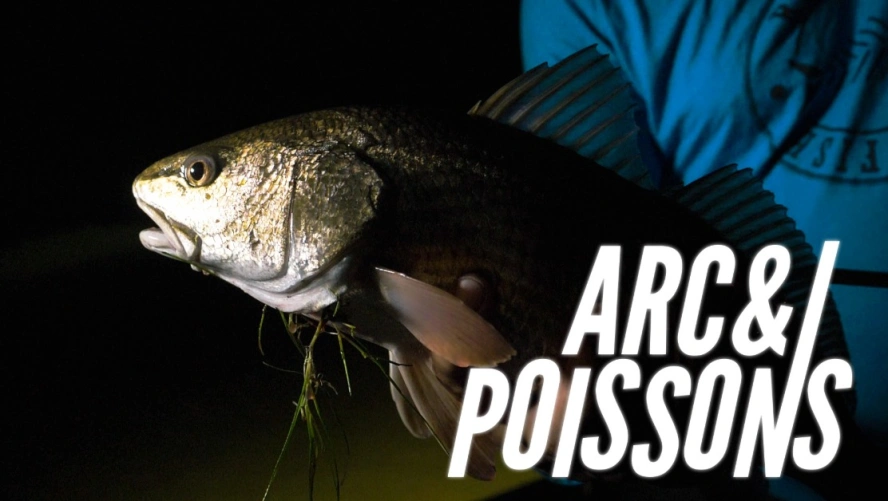 Arc & Poissons