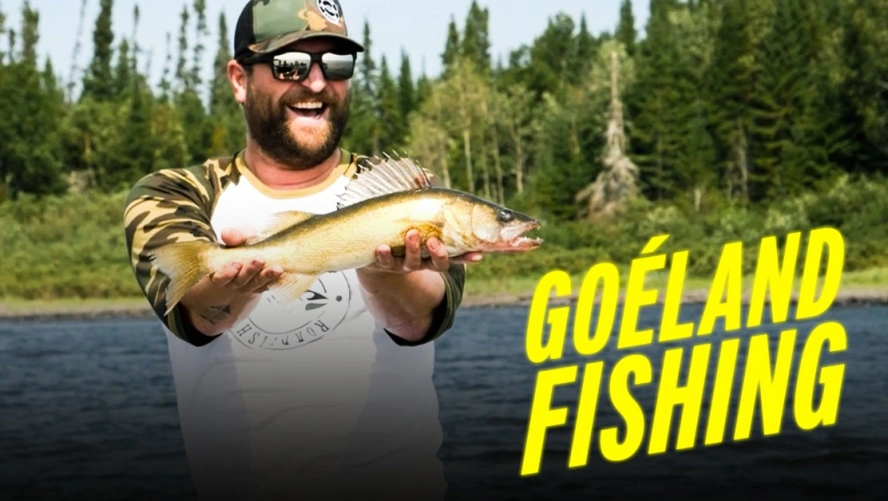 Goéland Fishing
