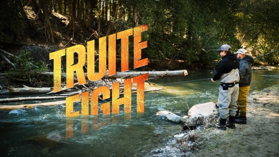 Truite Fight