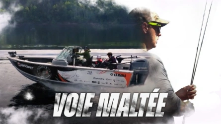 Voie Maltée