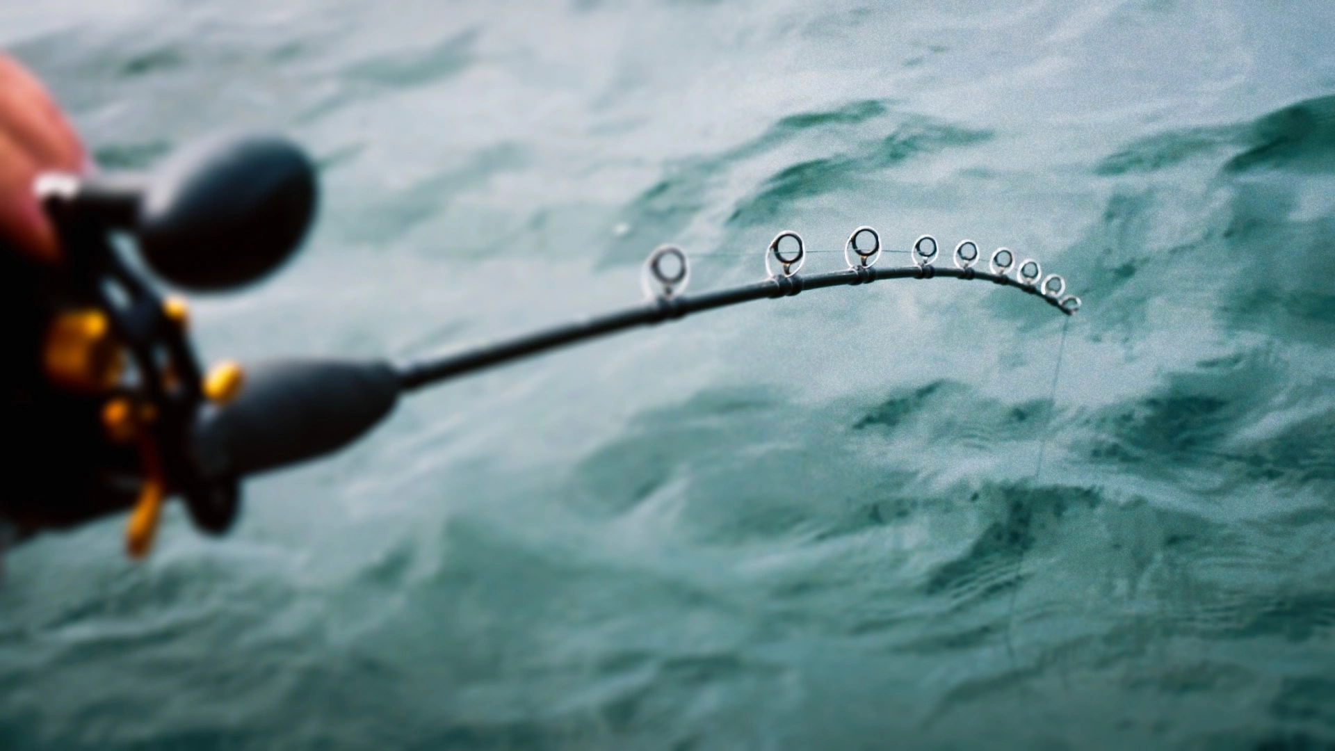 Colombie Britannique (épisode 2)