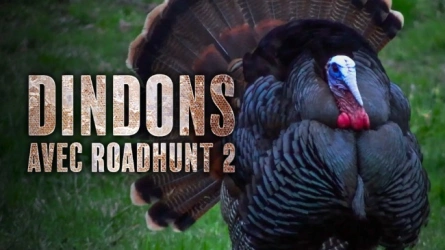 Dindons avec Roadhunt (2)