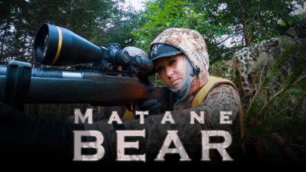 Matane Bear