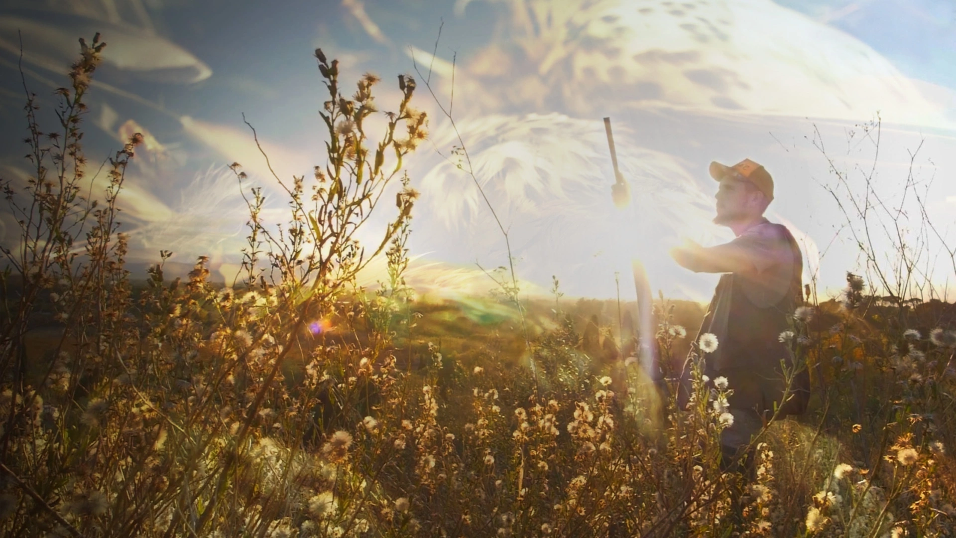 Grives pyrénéennes 1