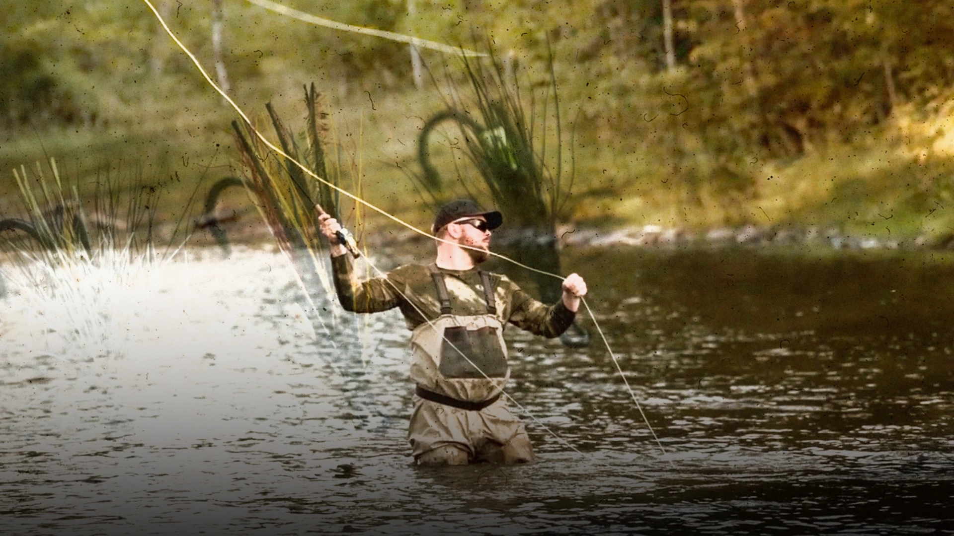 Saumons rivière Mitis