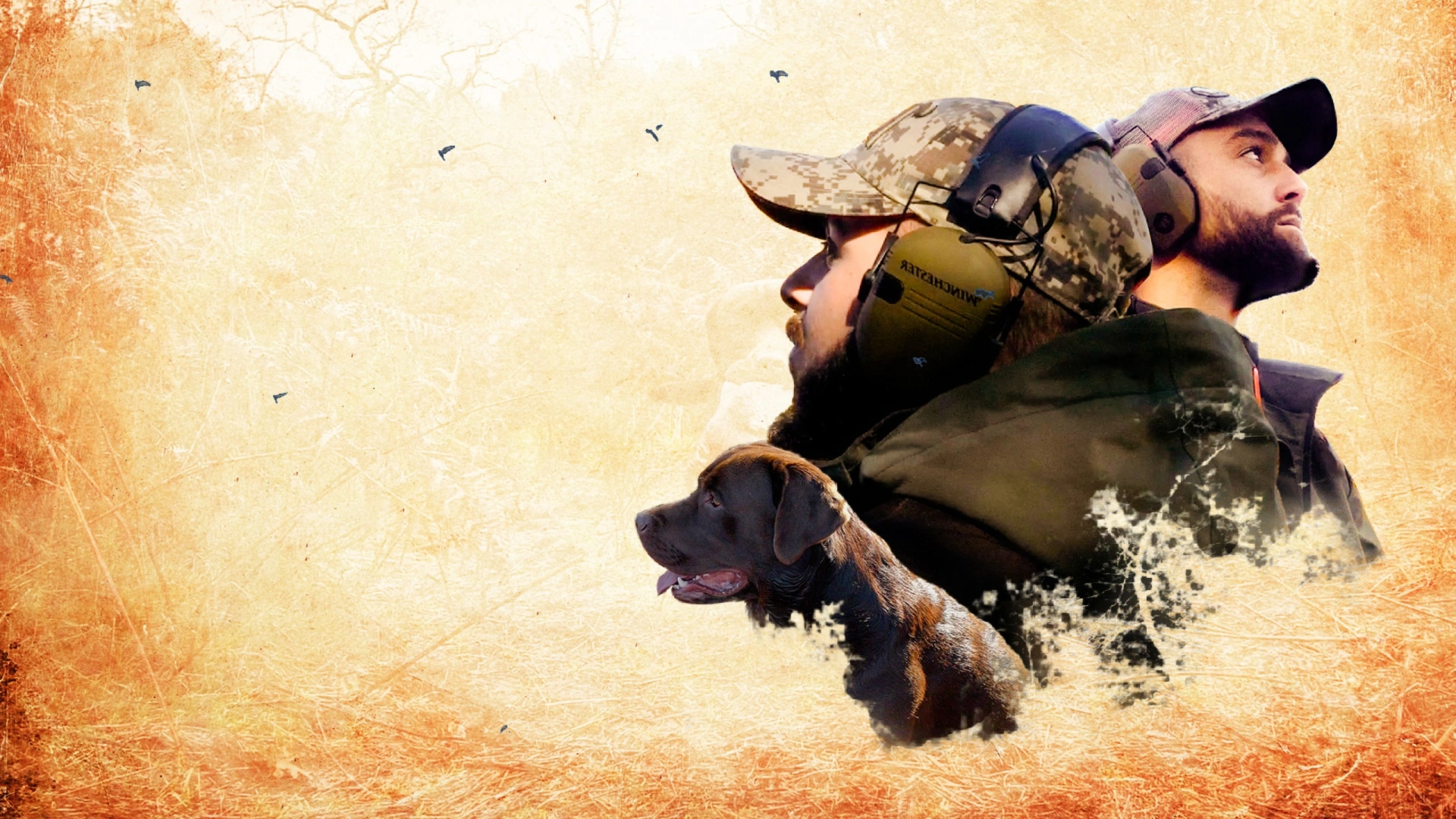 Migration des Landes 3