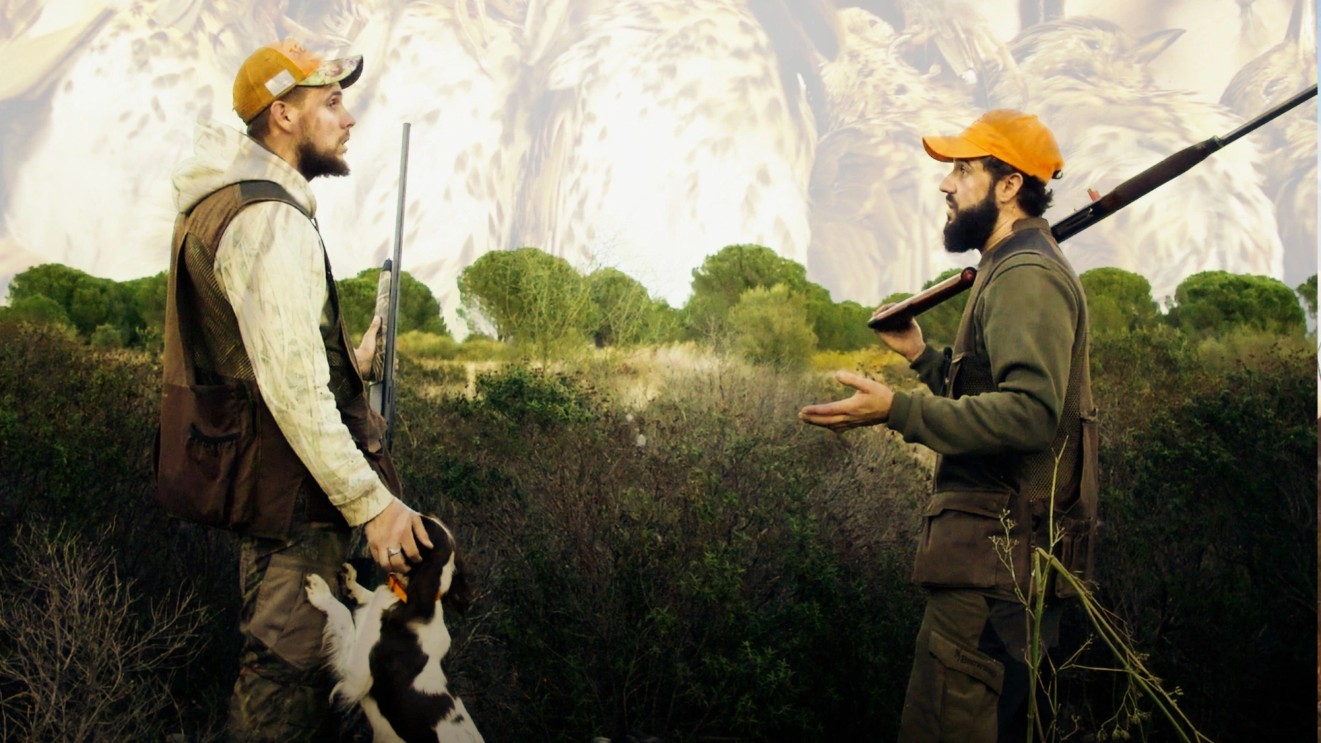 Grives pyrénéennes 2