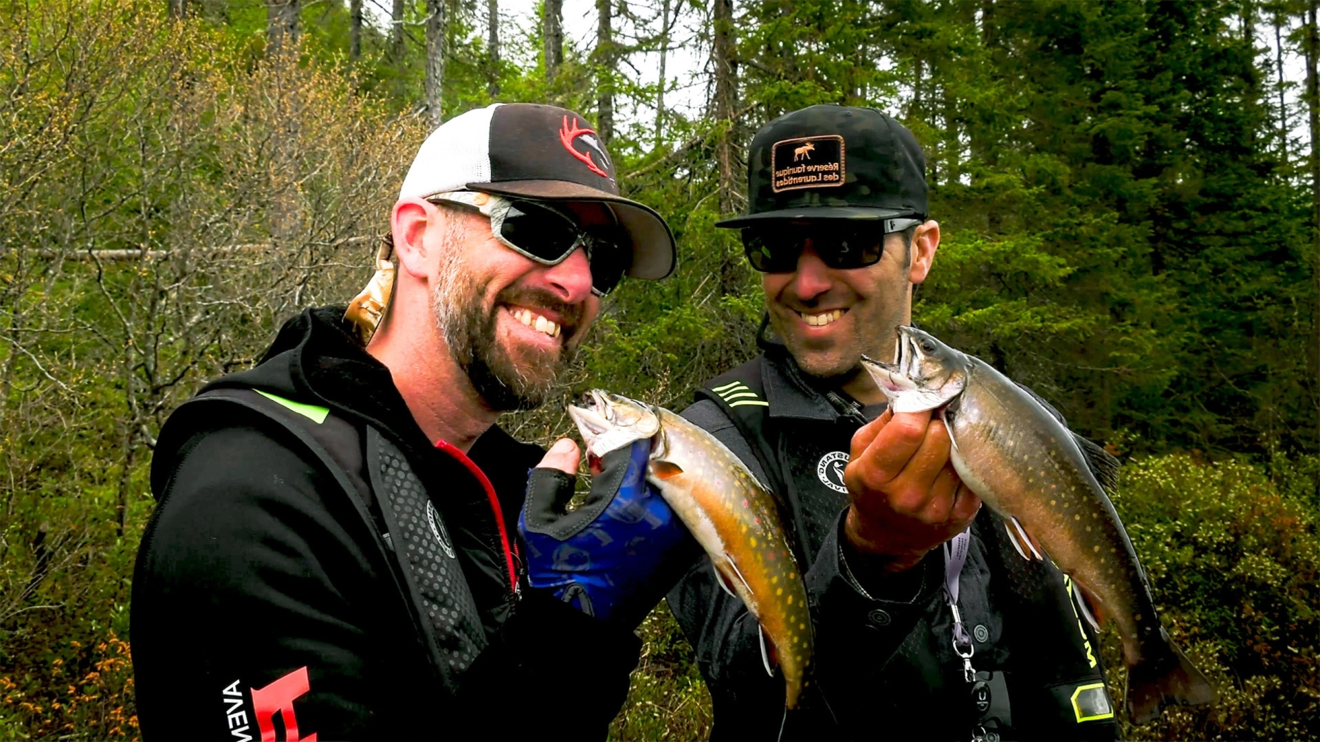 Truite belle rivière