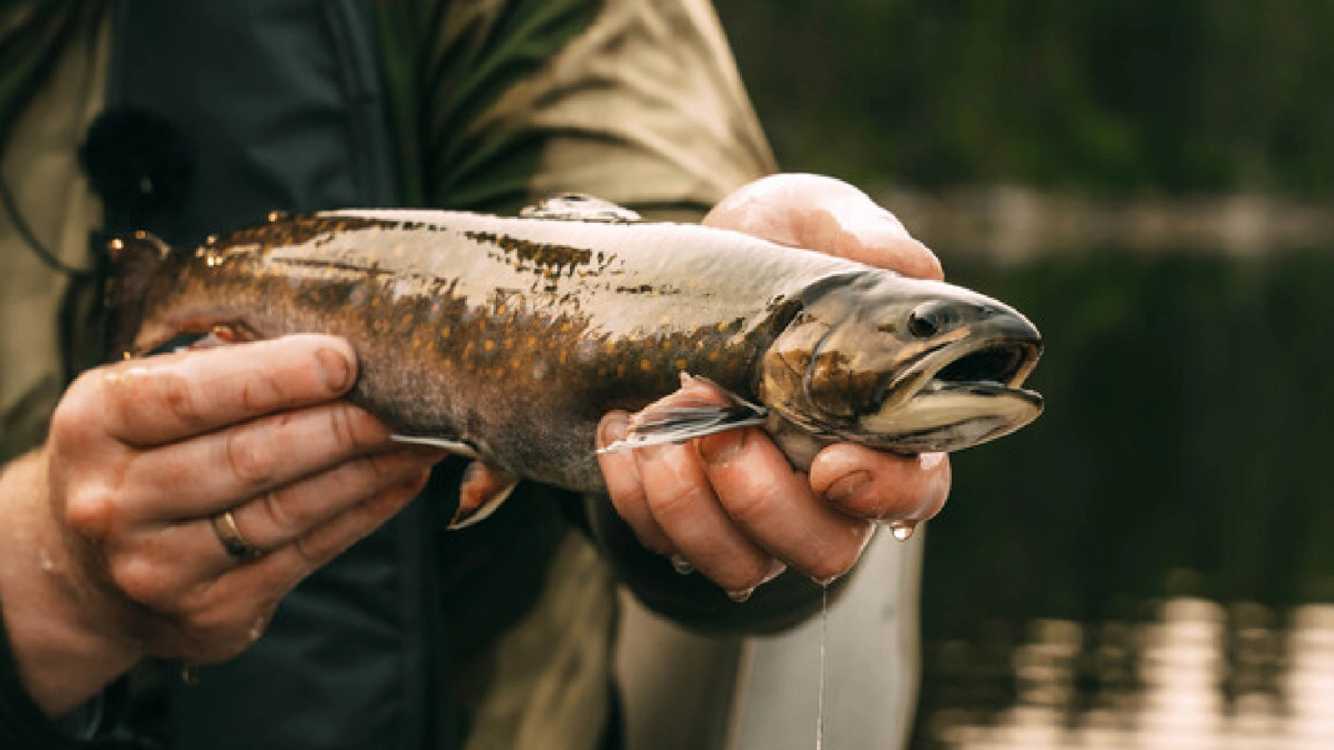 Compétition Lac Croche