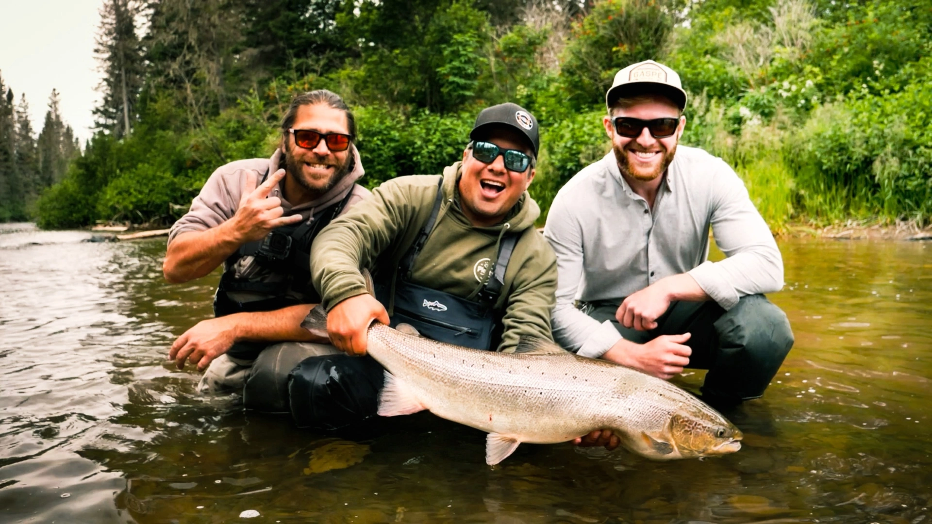 Roadfish en Gaspésie