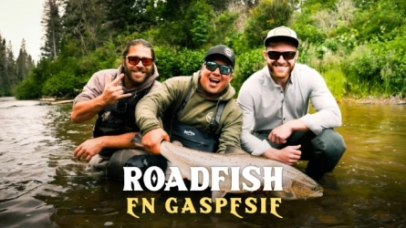 Roadfish en Gaspésie