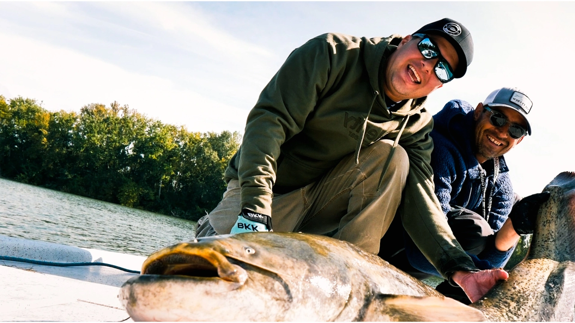 Roadfish french silure