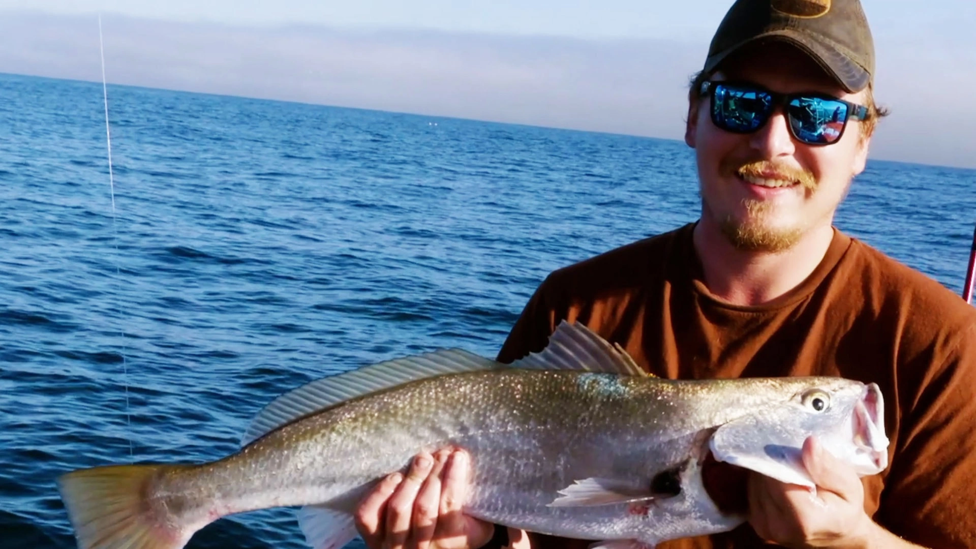 Roadfish en Afrique du Sud