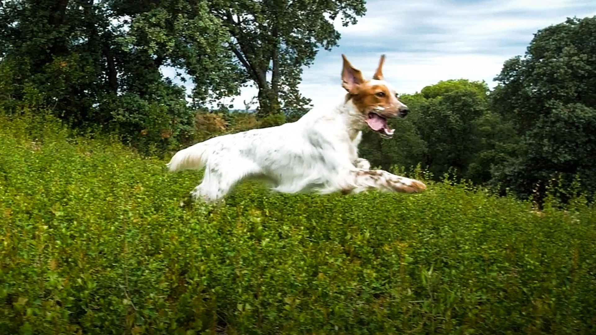 Passion setter : Sur le terrain