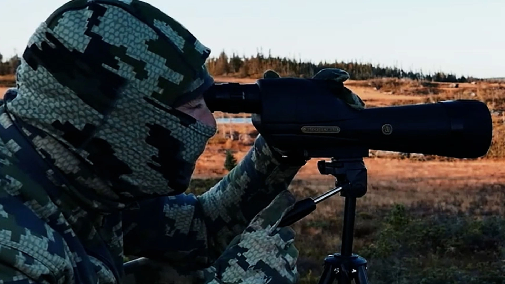 Faire peau neuve, faire Terre Neuve