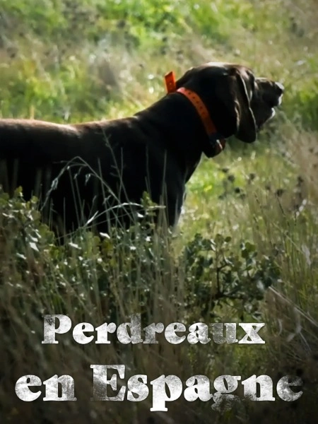 Perdreaux en Espagne