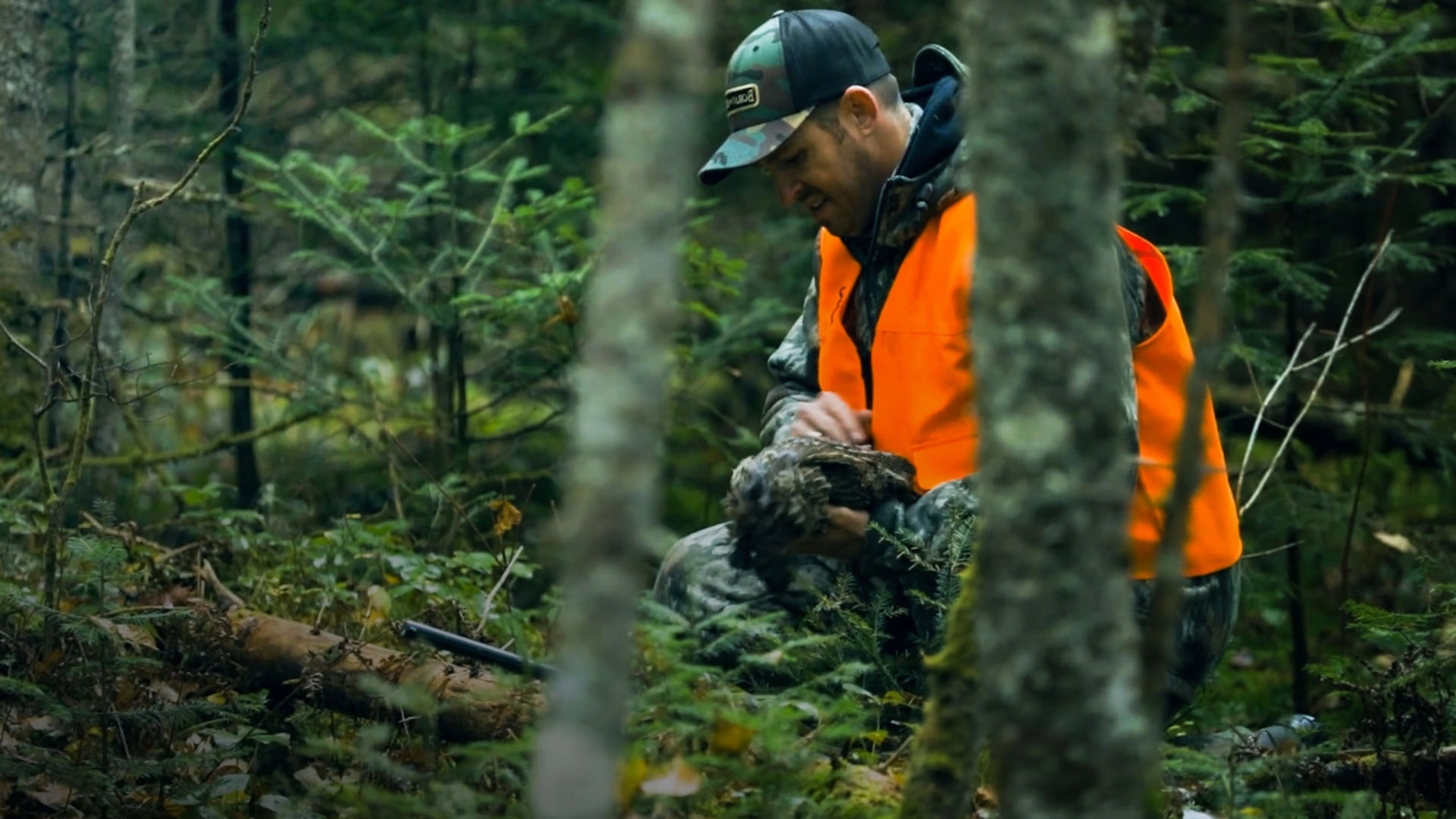 Petits gibiers canadiens