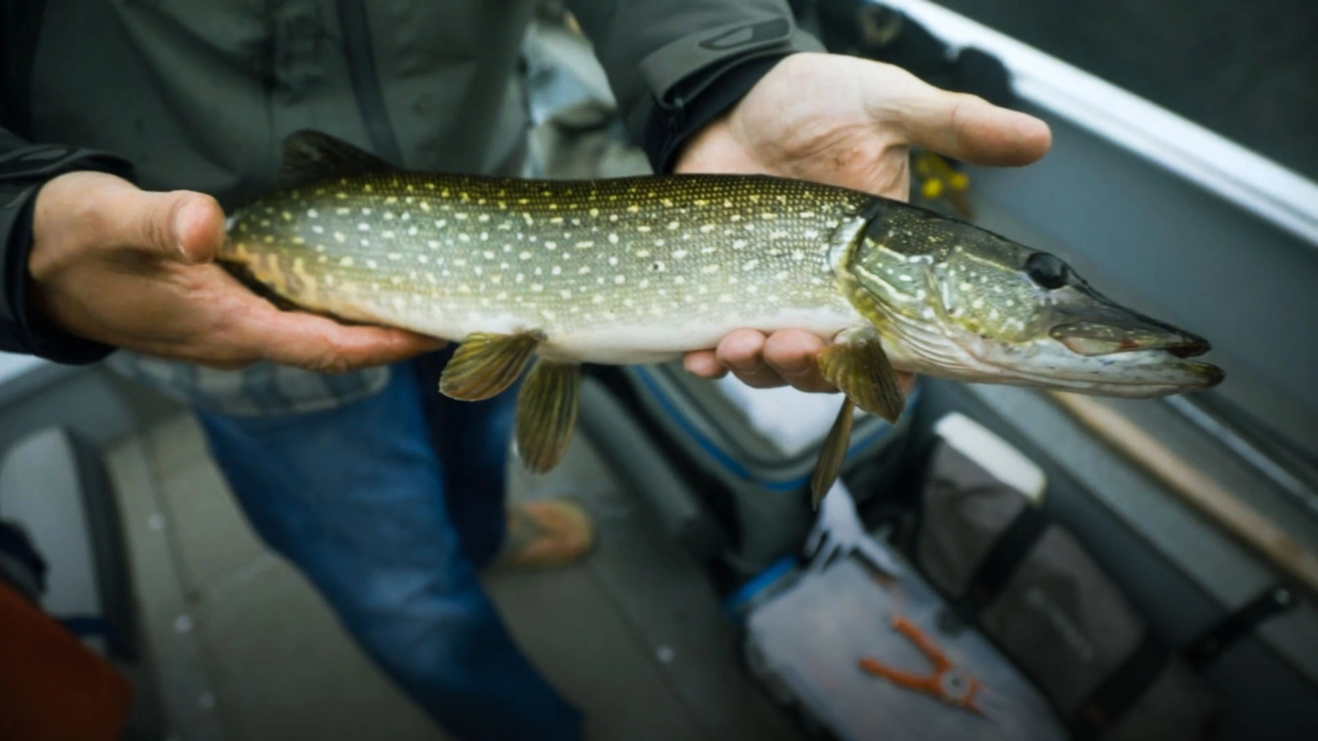 Pourvoirie cécaurel