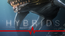 Hybrids