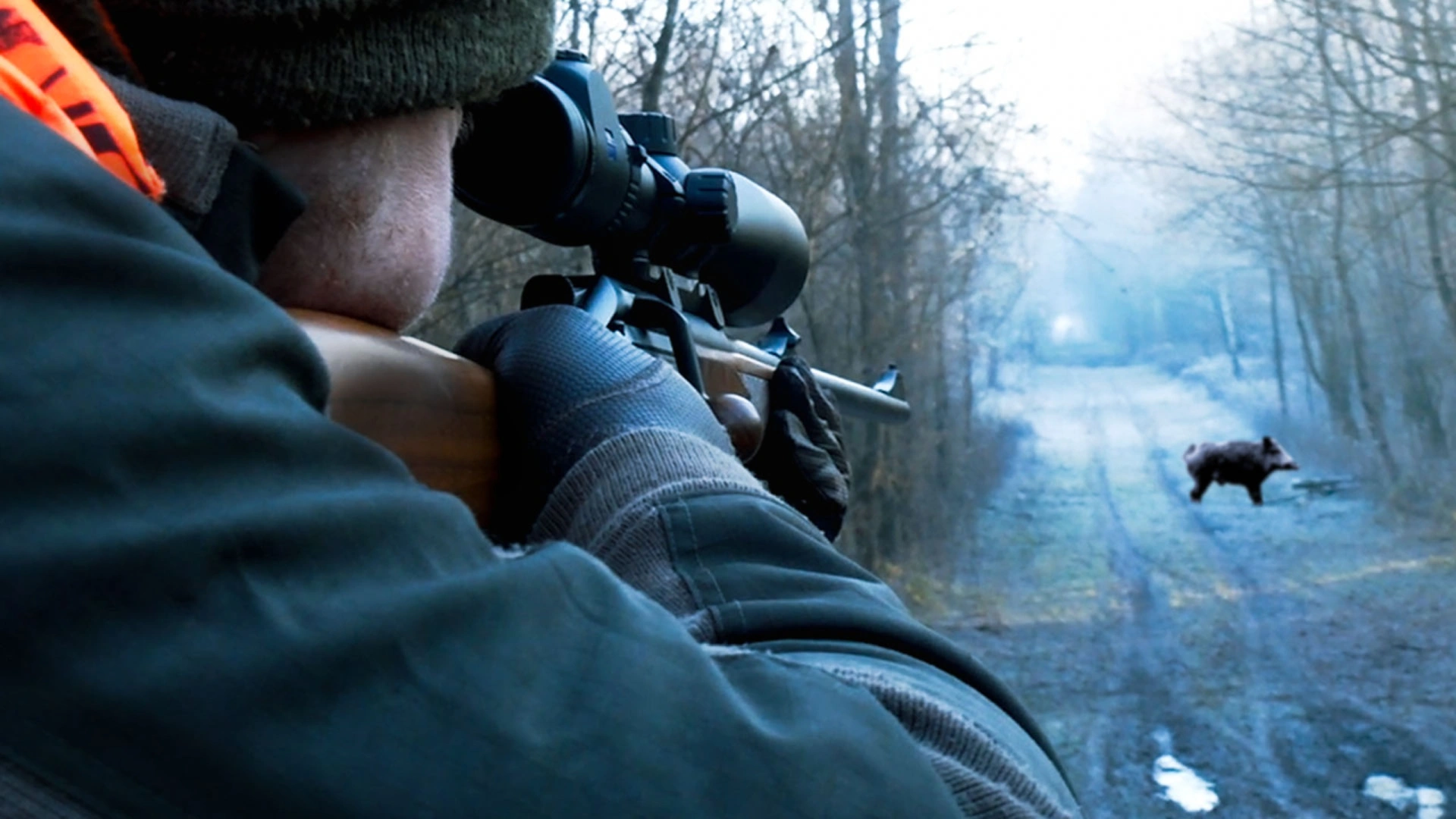 Battue aux grands gibiers en Hongrie 1