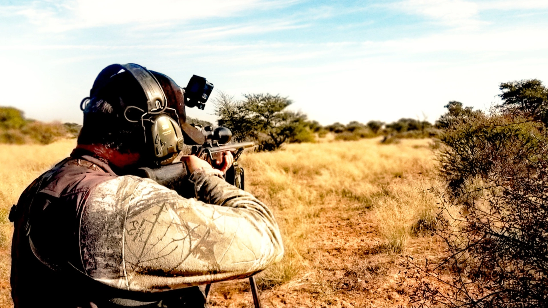 À la Recherche des Gnous