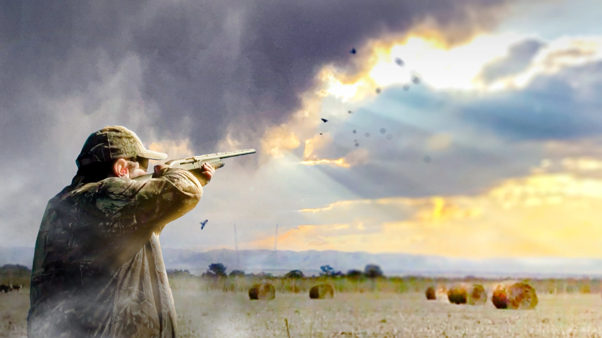 Compilation Pigeons en Argentine