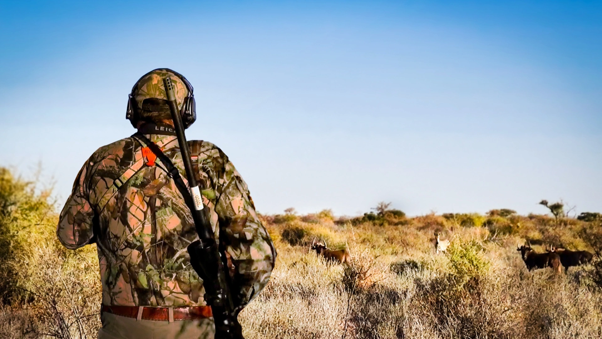 Grands gibiers de Namibie