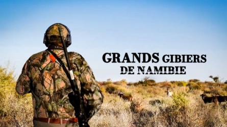 Grands gibiers de Namibie