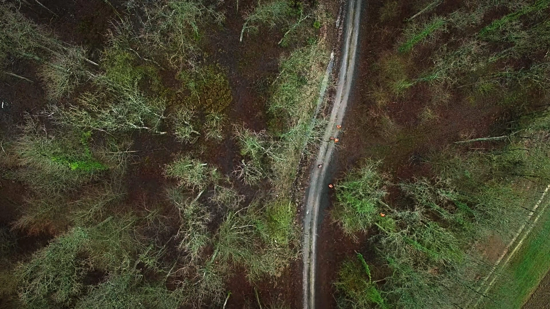 Battue dans la Meuse