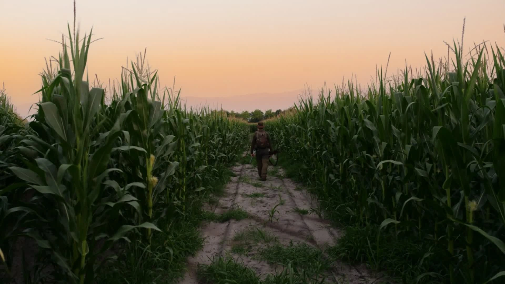 RETOUR AUX SOURCES : Dernière ligne droite (épisode 3)