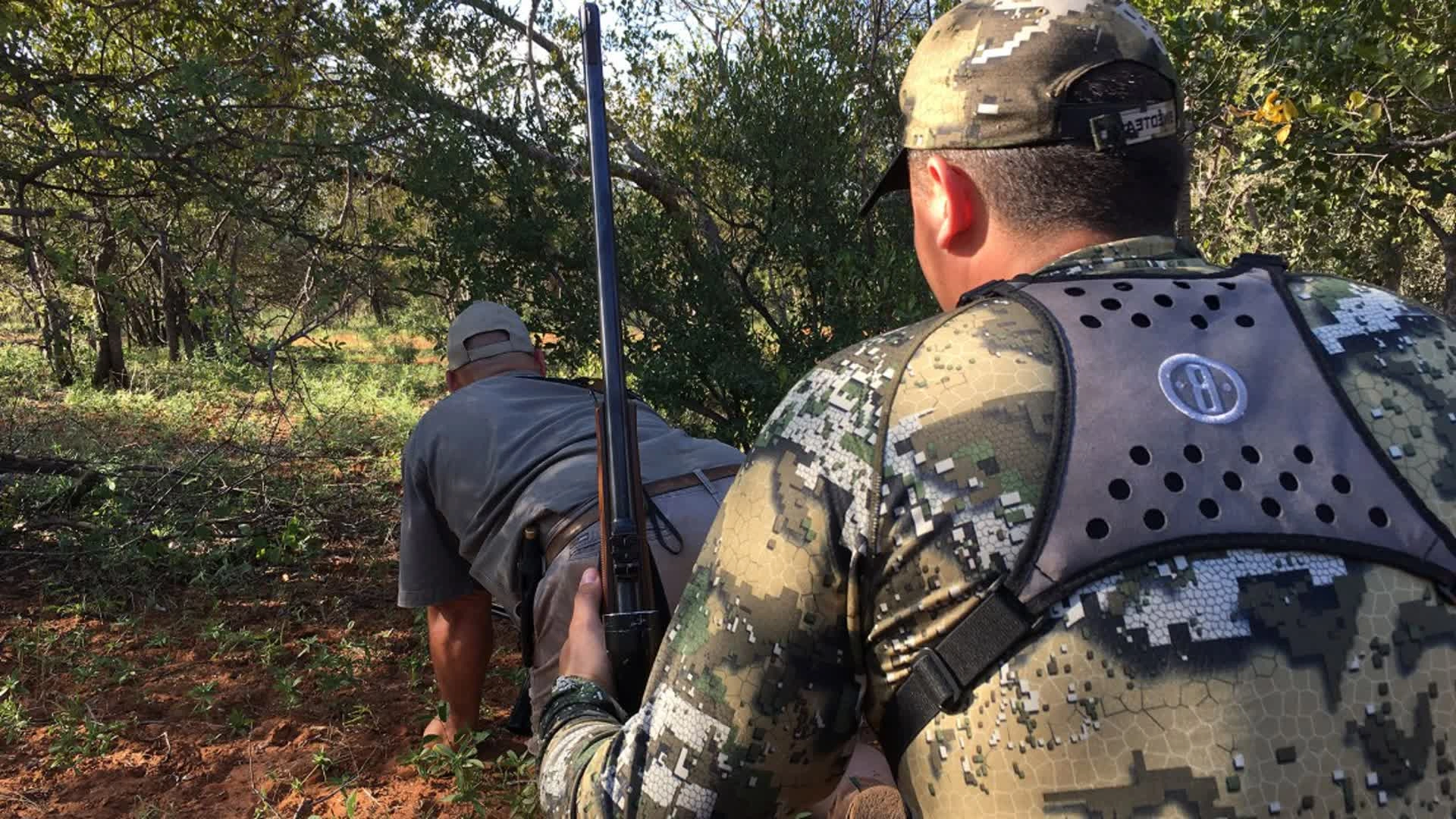 Premier safari en Afrique du Sud (épisode 1)