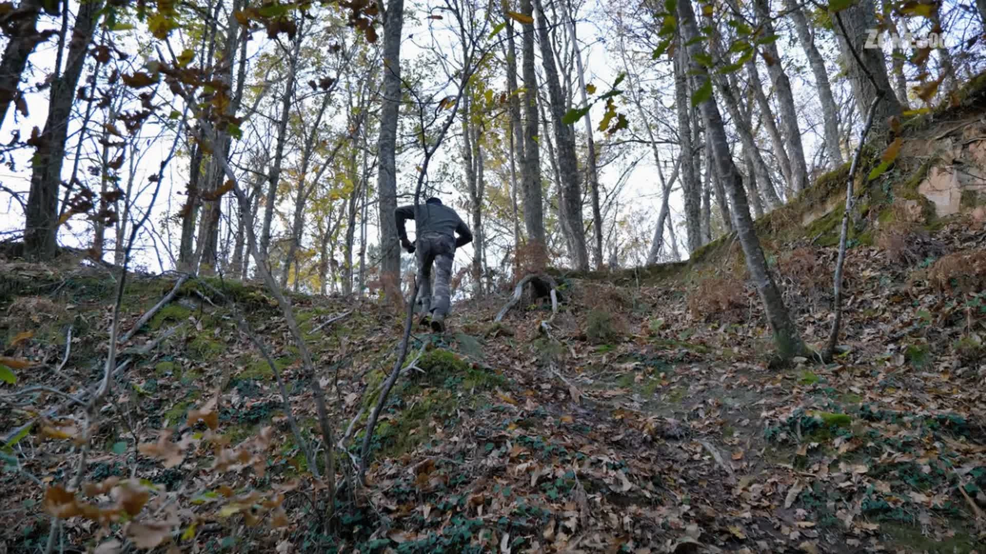 La Chasse pour le Chien et les Copains : Battue confinée (épisode 3)