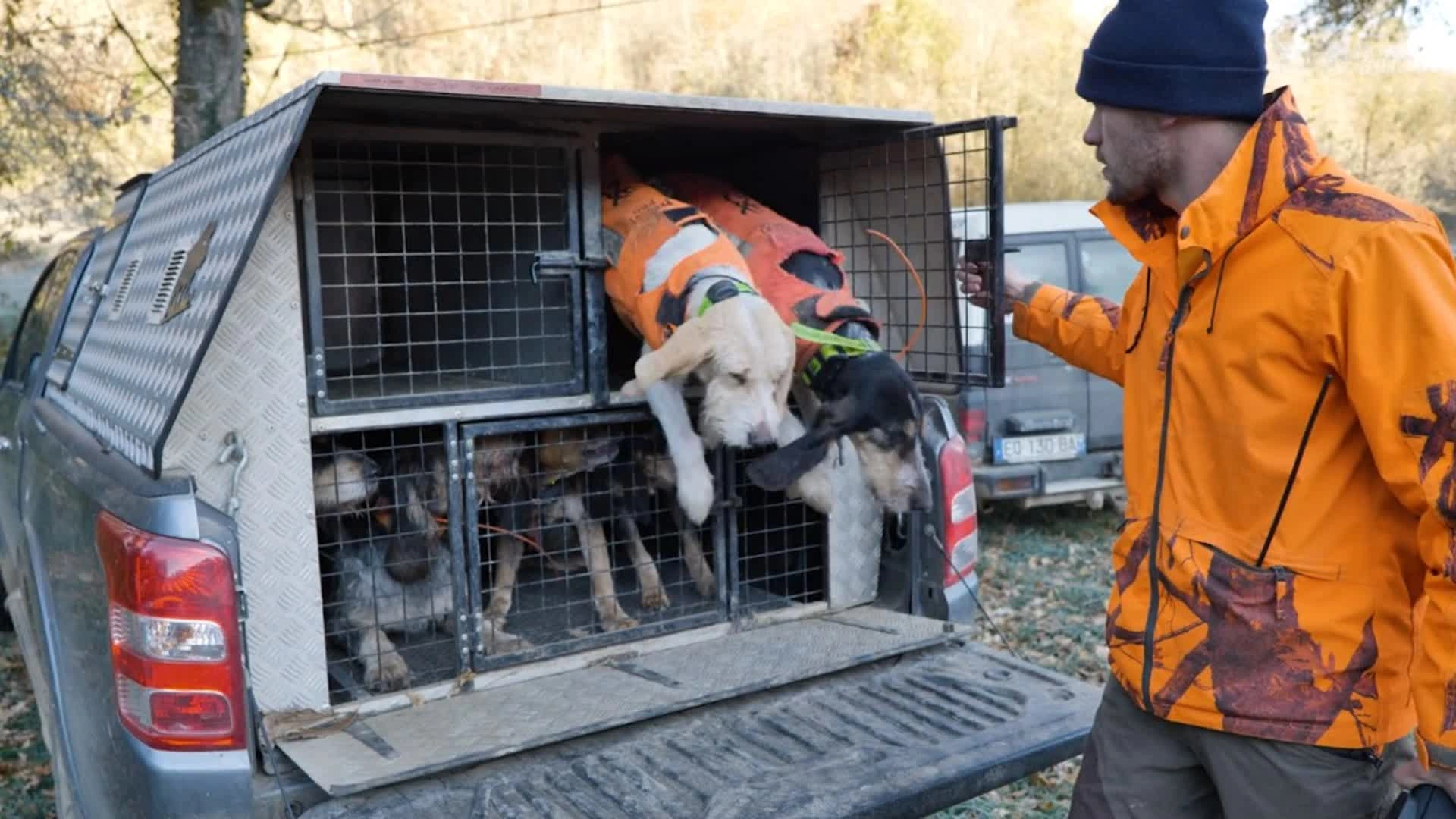 La Chasse pour le Chien et les Copains : Mission d'intérêt général (épisode 4)