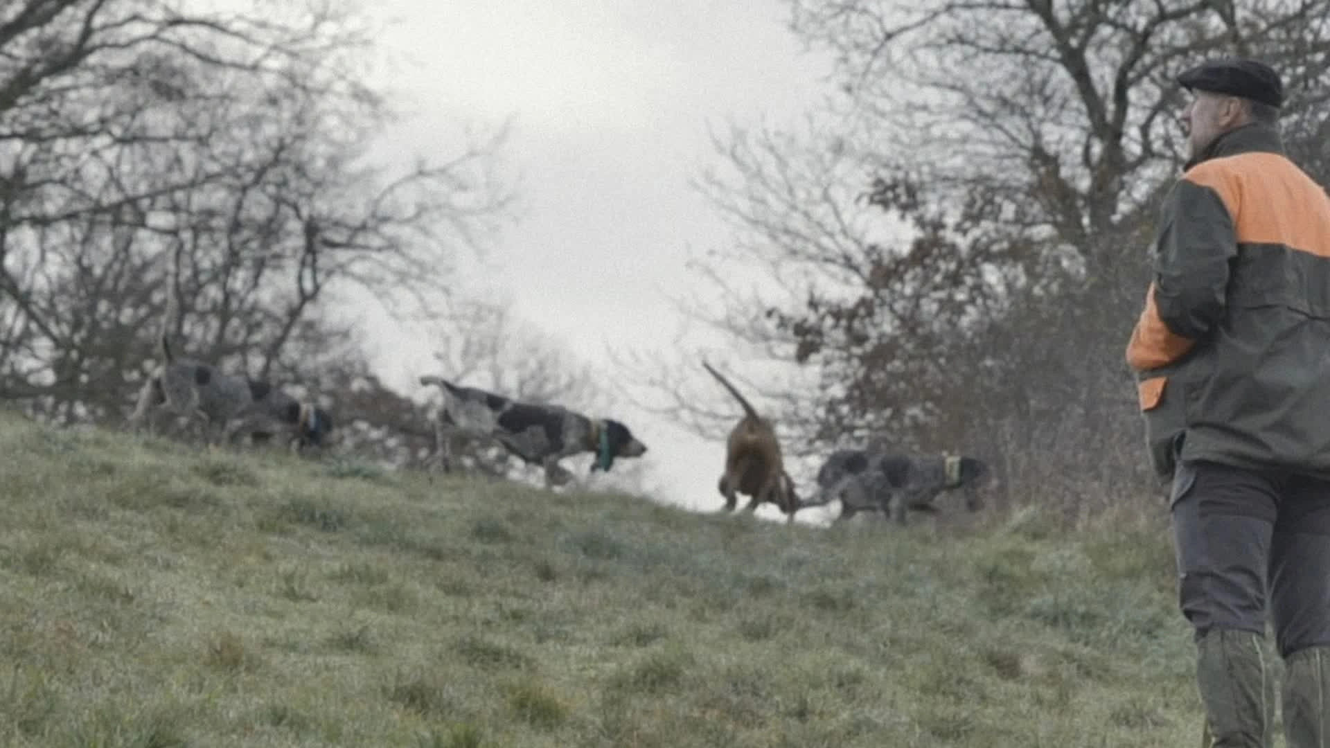 La Chasse pour le Chien et les Copains  : La chasse au bâton (épisode 7)