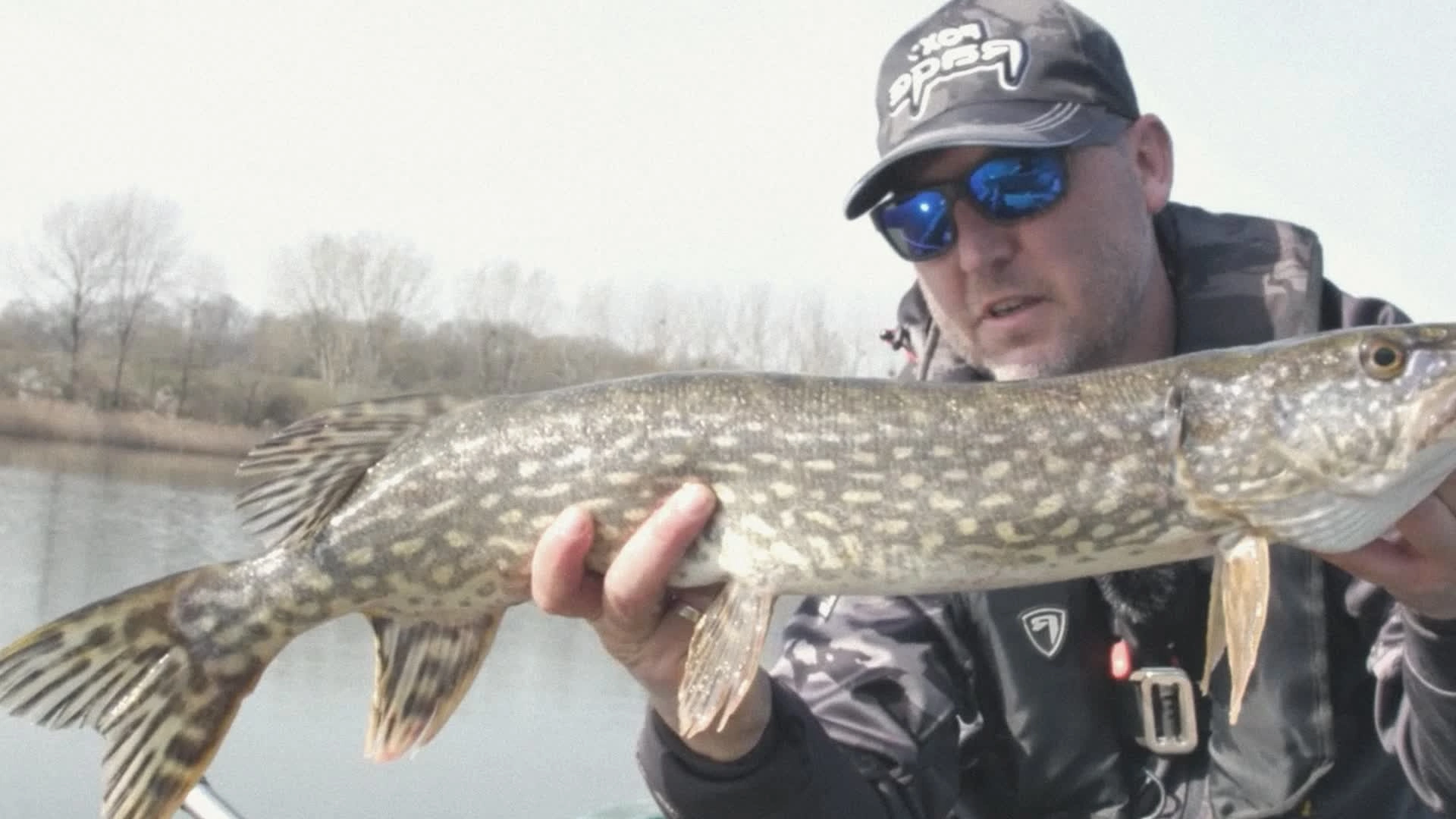 Les prédateurs des eaux douces : Brochet des eaux bleues (épisode 2)