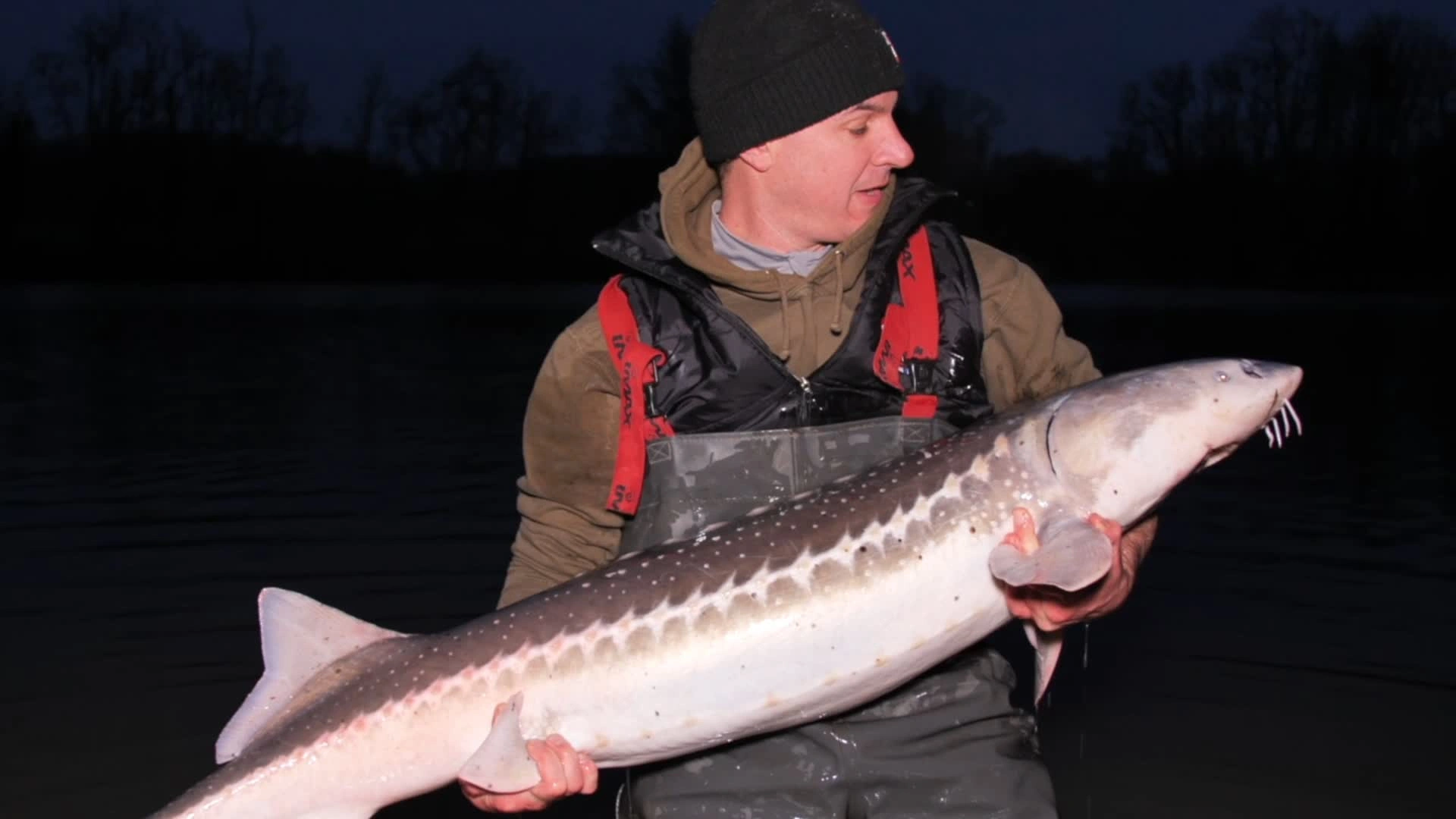 Un combattant de taille : Le caviar des profondeurs (épisode 1)